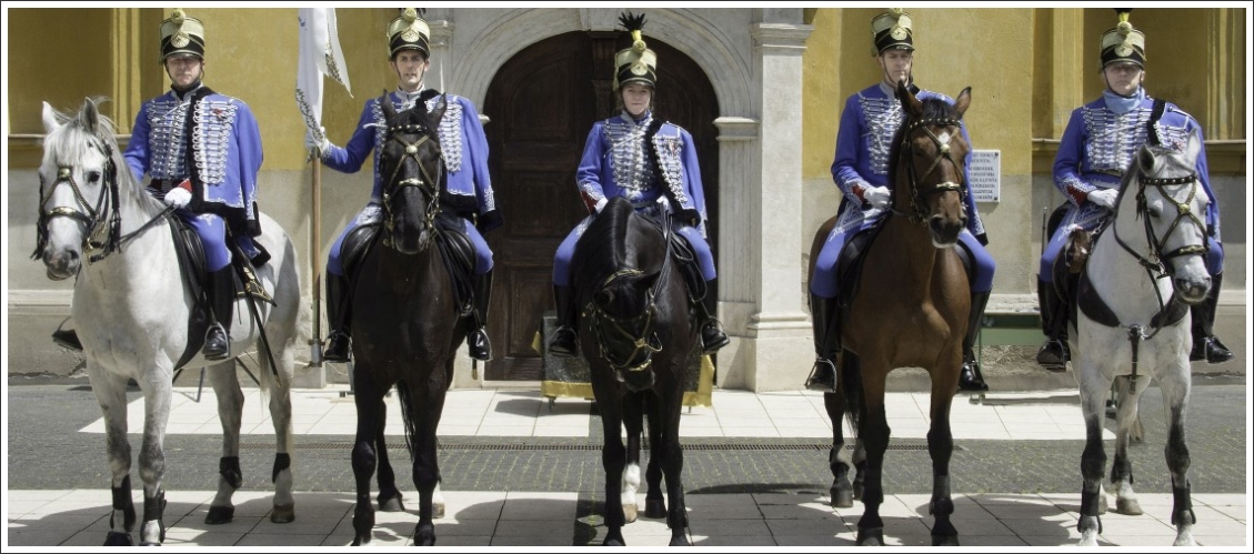 Hertelendy Gábor Huszárregiment Hertelendy Gábor Huszárregiment