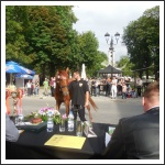 Bjelovárig ér a Somogyi Huszárok kardja