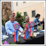 Bjelovárig ér a Somogyi Huszárok kardja