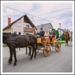 Éljen az ifjú pár!