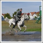 A soproni Nádasdy-huszárok a Nemzetközi lovassági napokon