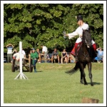 "Csupán a magyar kezében cseng a kard..." (forrás: papa-ma.hu)
