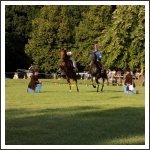 "Csupán a magyar kezében cseng a kard..." (forrás: papa-ma.hu)