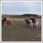 A soproni Nádasdy-huszárok a Nemzetközi lovassági napokon