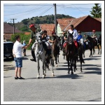 Lezajlott a XI. Görgei Emléktúra