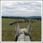 XIII. Görgei Emléktúra 