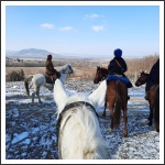 „VÉRTES” Egyesület - 2021. évi beszámoló