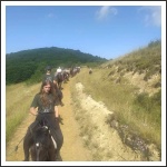 XIII. Görgei Emléktúra 