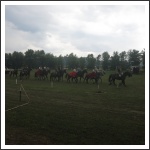 IX. Görgey Emléktúra