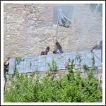 Honvédelem Napja, Budavár (fotó: Pető István)