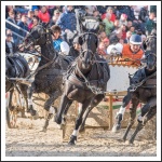 Szövetségünk 25. évfordulós ünnepsége (fotó: Pető István)