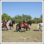 Élményeim Táborfalván (fotó: Pető István)