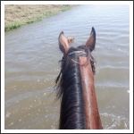 Trianon 100 – Görgei 10 – lóháton határtalanul