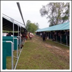 Trianon 100 – Görgei 10 – lóháton határtalanul