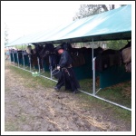 Trianon 100 – Görgei 10 – lóháton határtalanul