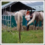 Trianon 100 – Görgei 10 – lóháton határtalanul