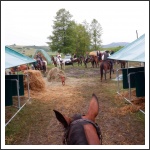 Trianon 100 – Görgei 10 – lóháton határtalanul