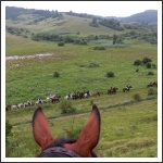 Trianon 100 – Görgei 10 – lóháton határtalanul