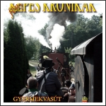 Gyermekvasút - 2011. május 21.