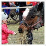 A Váci Huszár és Nemzetőr Bandérium márciusi programjai