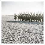 Austerlitz 2017 (fotó: Michaela Wecker)