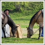 Csatabemutató Hatvanban (fotó: Pető István)