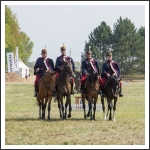 A MHKHSZ Lovasság küllemi és alaki minősítője - fotó: Horváth Gábor
