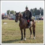 A MHKHSZ Lovasság küllemi és alaki minősítője - fotó: Horváth Gábor