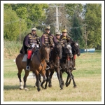 A MHKHSZ Lovasság küllemi és alaki minősítője - fotó: Horváth Gábor