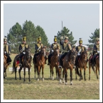 A MHKHSZ Lovasság küllemi és alaki minősítője - fotó: Horváth Gábor