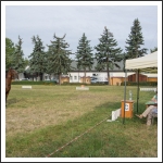 A MHKHSZ Lovasság küllemi és alaki minősítője - fotó: Horváth Gábor