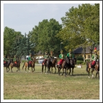 A MHKHSZ Lovasság küllemi és alaki minősítője - fotó: Horváth Gábor