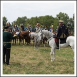A MHKHSZ Lovasság küllemi és alaki minősítője - fotó: Pető István