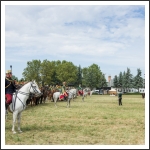 A MHKHSZ Lovasság küllemi és alaki minősítője - fotó: Horváth Gábor
