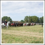 A MHKHSZ Lovasság küllemi és alaki minősítője - fotó: Horváth Gábor