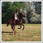 Válogatás a „VÉRTES” Egyesület tavaszi programjaiból