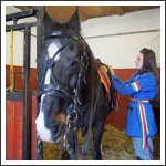 Március 15. Győrben (forrás: kisalföld.hu)