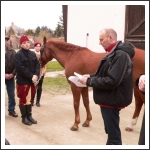 Lovas szakmai hétvége Nagycenken