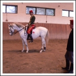 Lovas szakmai hétvége Nagycenken