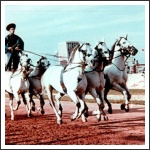 1963. Kecskeméti Mezőgazdasági Kiállítás: Sallay Sándor az Alsószèktói pálya megnyitóján árán fedező mènekből álló Koch-ötössel. 