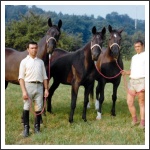 1965. augusztus: Weinsberg, három generációs trakheneni kancacsaláddal