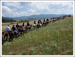 XII. Görgei Emléktúra - felhívás