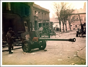 „Gloria Victis” – 56’ dicsősége (forrás: Fortepan / Klausz Ádám)