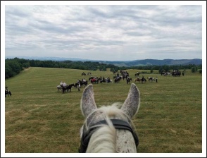 XIII. Görgei Emléktúra 