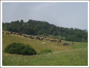 IX. Görgey Emléktúra