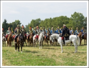 A MHKHSZ Lovasság küllemi és alaki minősítője