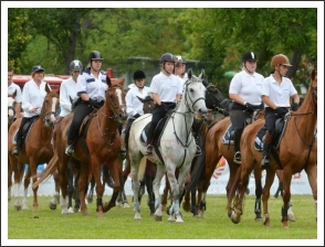 V. Országos Polgárőr Lovas Szemle