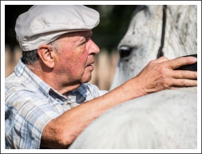 In memoriam Sallay Sándor