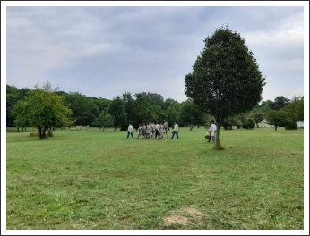 A pestvármegyei kadétzászlóalj 1. táborozása