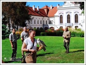 A Magyar Solymász Egyesület tisztújító közgyűlése